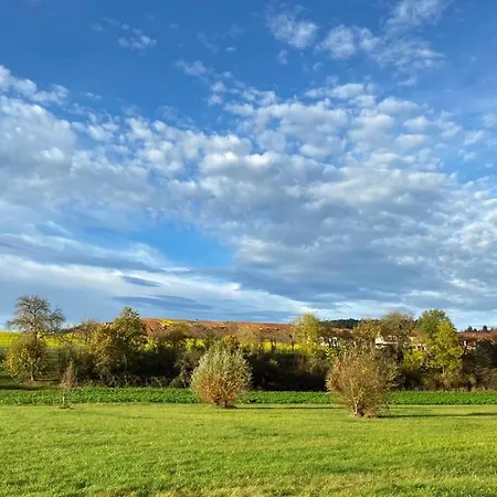 Hotel Restaurant Lamm Rosswag Vaihingen an der Enz