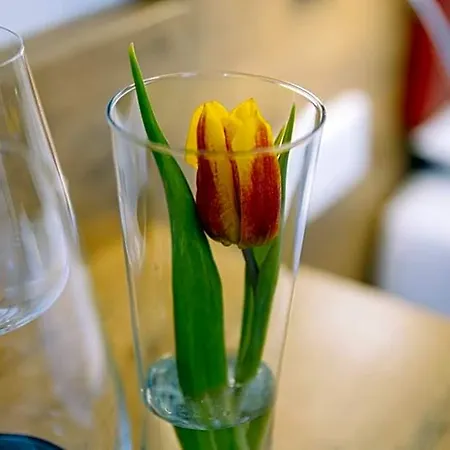Restaurant Lamm Rosswag Szálloda
